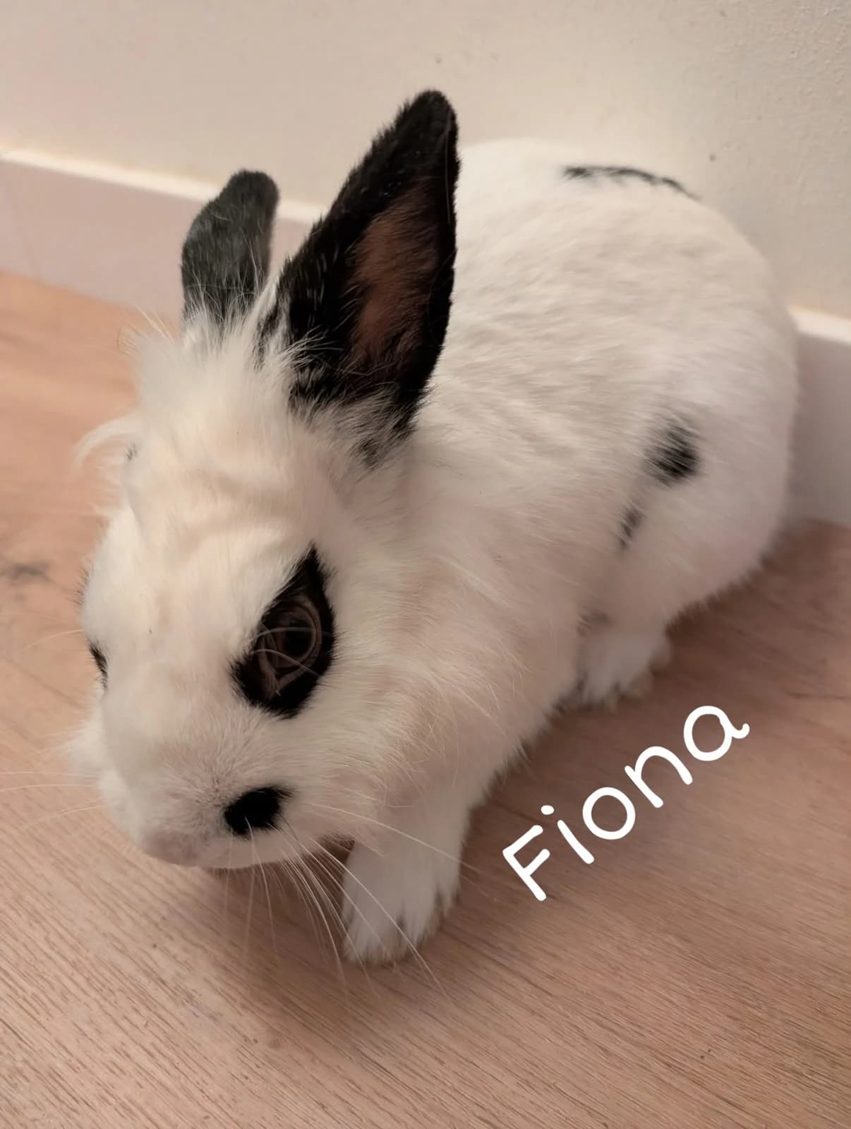 Fiona